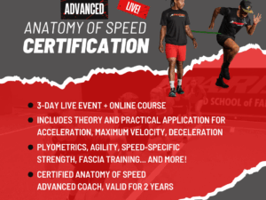 https://anatomyofspeed.com/wp-content/uploads/2025/09/AOS-Advanced-1-300x225.png