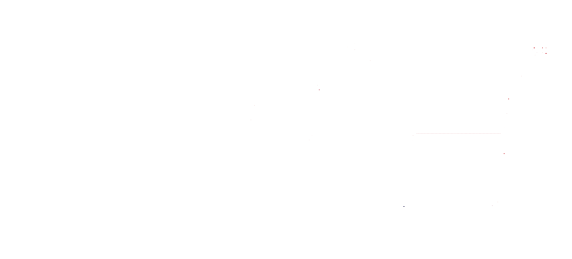 ACE American Council on Exercise Logo